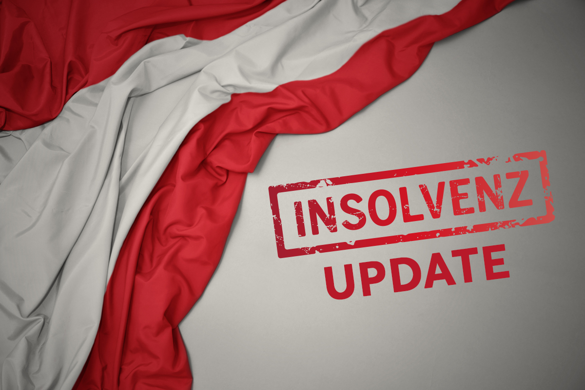 Signa Insolvenzverfahren Ein Update News Creditreform